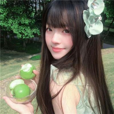 蜘蛛巢城