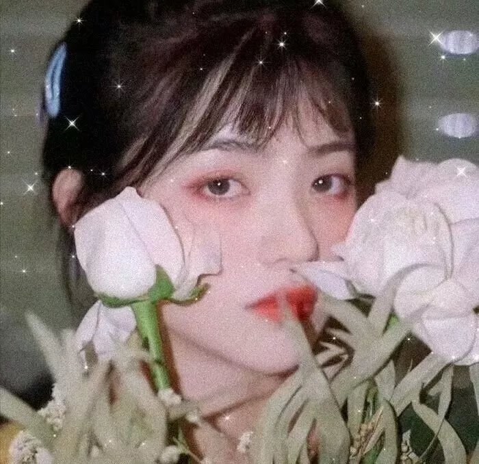 高分电影片单 B